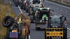 Los agricultores franceses llevan ya d�as cortando carreteras p�ra protestar por Mercosur y la dermatosis nodular