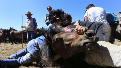 Las  bestas  no se lo pusieron fcil a los  aloitadores 