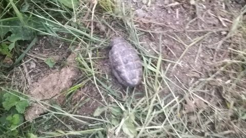 Granada hallada en la Pola del Pino