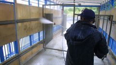 Imagen de archivo de un hombre limpiando��un cami�n de ganado