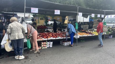 Uno de los puestos que estaban ayer instalados en el Mercadillo de Frigsa, en el Parque de la Milagrosa de Lugo.