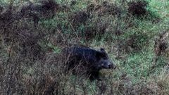 Jabal�, en imagen de archivo