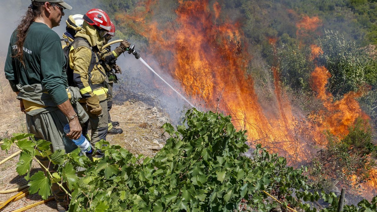 Aroma de cenicero, o cómo combatir la huella que el fuego deja en el vino