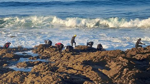 En algunos momentos, en torno a una veintena de mariscadores se concentraron junto a la zona de A Punta da Cruz