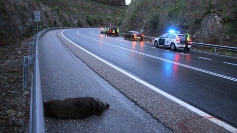 Imagen de archivo de un accidente en Baiona