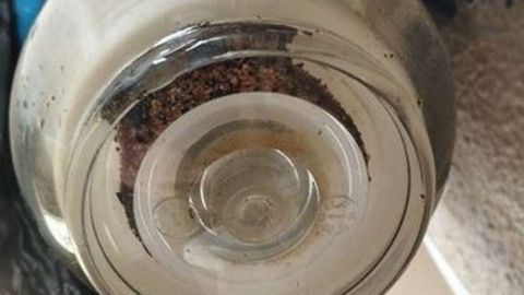 Filtro sucio de un grifo de una casa de la zona afectada