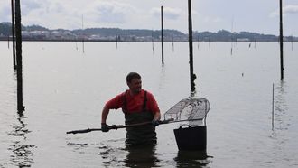 Un parquista trabaja intentando devolver la normalidad a sus viveros.