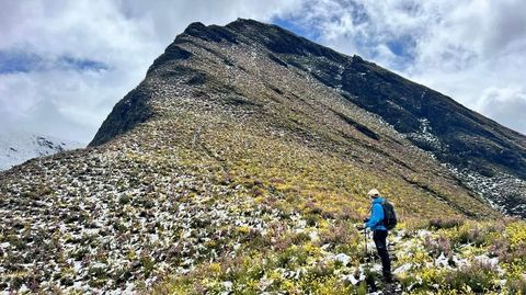 O branco da neve e o amarelo das carqueixas fndense esta primavera na ladeira do monte Penaboa