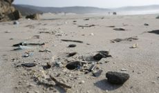 Las galletas de chapapote aparecidas en O Rostro y Nemi�a entre otras playas est�n ya secas y solidificadas. 