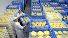 El queso de Arz�a fue el primero de Galicia en lograr un reconocimiento oficial.