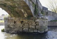 Detalles. En las dos im�genes superiores se ven algunas de las grietas de la estructura, as� como la proliferaci�n de hierbas. A la izquierda, la zona de tr�nsito por el puente. 