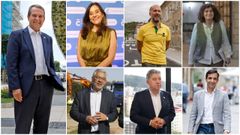 De izquierda a derecha y de arriba a abajo: Abel Caballero, de Vigo; la coruesa Ins Rey; Gonzalo Prez Jcome, de Ourense; Goretti Sanmartn, de Santiago; Miguel Fernndez, de Lugo; Miguel Anxo Fernndez Lores, de Pontevedra; y Jos Manuel Rey Varela, de Ferrol