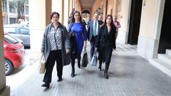La portavoz de VOX en Baleares, Idoia Ribas (2i), acompa�ada de otros diputados de VOX llegan a una rueda de prensa, a 29 de enero de 2025, en Palma de Mallorca.