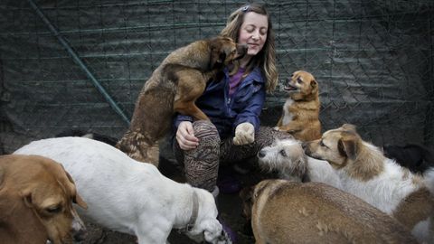 Protectora Gatoc�n en Coir�s