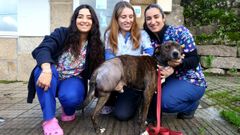 Toxo, este jueves, con personal de la clínica veterinaria Mourente, en Pontevedra, donde lo están cuidando