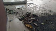 Imagen de la tierra, la arena, las hojas y otros restos que se acumulan en el interior de portales de edificios situados en el conocido como �territorio fochancas� de Viveiro, en la Variante