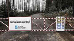 Los presupuestos del ao 2021 incluan dos partidas que sumaban 7,5 millones para convertir el viejo psiquitrico de Ton, en ruinas, en un centro integral de lucha contra incendios. El proyecto vuelve a aparecer en las cuentas del 2022 con 4 millones.