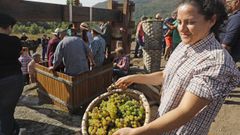 O�mbra recupera la vendimia m�s tradicional