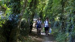 Peregrinos en el Camino Primitivo a su paso por Bascuas (Lugo), el ao pasado