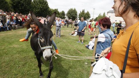 Una jinete se ve en dificultades para subir a su burro tras la salida de su carrera