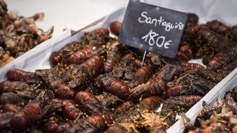 Santiagui�os a 180 euros este mi�rcoles en la plaza de Lugo de A Coru�a