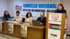 Inmaculada Santamarta,�Secretaria Xeral de CCOO Industria de Galicia