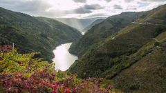 Una vista del can del Sil en la zona de Doade, en Sober, con la orilla ourensana a la izquierda.