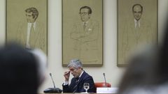 El ministro del Interior, Fernando Grande-Marlaska, durante un acto de homenaje a las v�ctimas del terrorismo en el Congreso.
