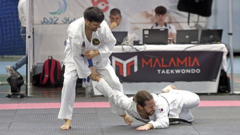 Campeonato gallego de hapkido en el Pabell�n de Barra�a