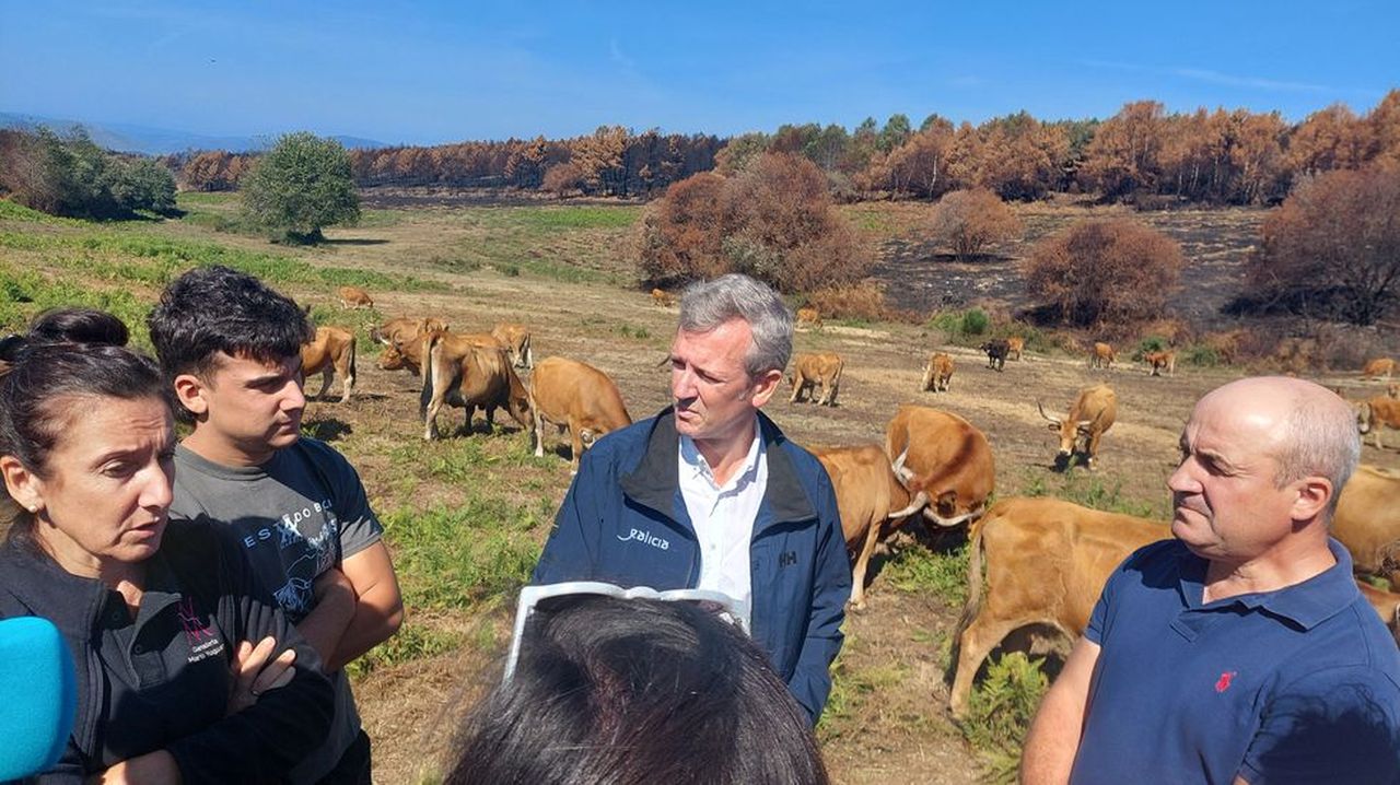 Rueda sobre los incendios: «Hai que escoitar aos que viven no monte e do monte»