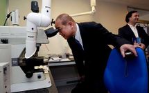 Los japoneses comprobaron c�mo se detecta la toxina y c�mo se impide que llegue al mercado. 