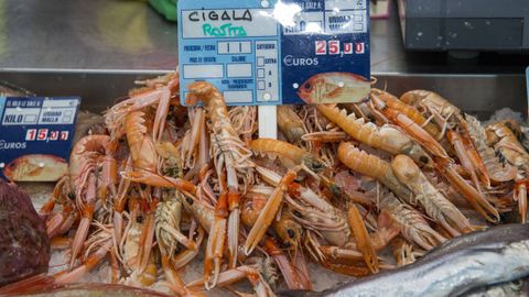 A medias de casi 16 euros el kilo cotizaron en las lonjas gallegas las cigalas, similares a las de esta foto de archivo de una pescadera gallega