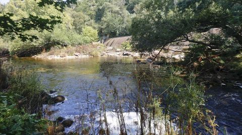Presa de Bora, en sequ�a, en Pontevedra