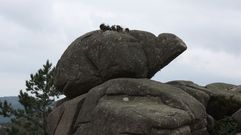 Unha das rochas que se poden ver nos Penedos, a tartaruga.