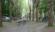 Los pr�ximos Caneiros en Familia se celebrar�n el 1 de agosto. 