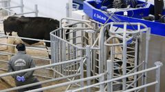 Las nuevas ayudas permitir�n financiar la compra de los robots de orde�o