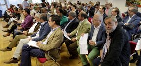 Alcaldes e concelleiros dos 93 municipios coru�eses co�eceron o novo plan da Deputaci�n. 