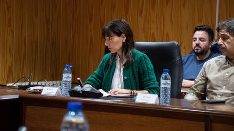 Carmen Jos� L�pez, portavoz del PP, defiende una subida gradual y progresiva