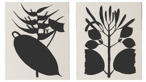Dos de las piezas de la serie de 42 �Leyenda negra�, para la que Pilar Mill�n se inspir� en los dibujos bot�nicos de Mutis.