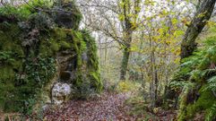 Paraje de Val das Mouras, entre Mercurin y Ferrer�a Vella
