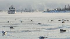 Fr�o glacial en Europa