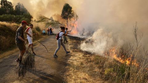 Incendio forestal en Meln, entre las aldeas de Quins y Vilaverde