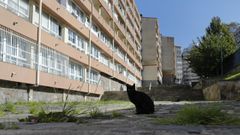 La topograf�a empinada del barrio de las Flores, en A Coru�a, dificulta la movilidad de sus vecinos mayores.