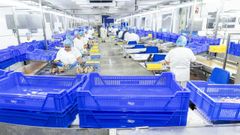 Conservas Calvo, grupo Nauterra