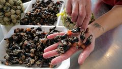 El percebe inunda Nochevieja