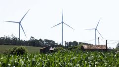 Aerogeneradores, ayer, del parque eólico de Miñón (Vimianzo), de Greenalia, empresa que promueve la línea eléctrica.