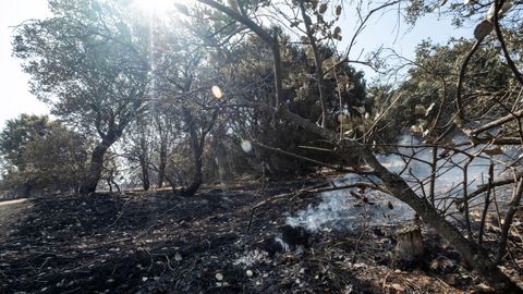  Vista general de la zona afectada por el incendio de Toledo. Los vecinos que fueron desalojados de sus viviendas de las urbanizaciones de Montesi�n y San Bernardo, en Toledo