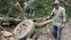 En el 2012 fueron retirados los restos del bus que segu�an junto a la v�a del tren