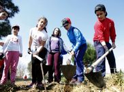 Un grupo de alumnos del Jaime Balmes, en plena faena para plantar los casta�os. 