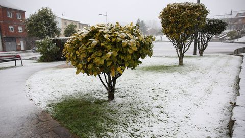 Nieve en Cerceda